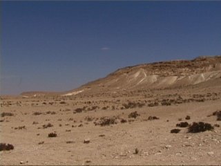 Negev Desert (1)